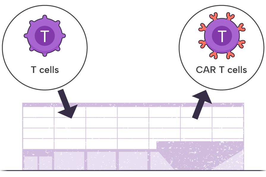 YESCARTA® (axicabtagene ciloleucel) manufacturing facility.